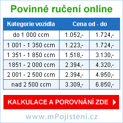 Povinné ručení online